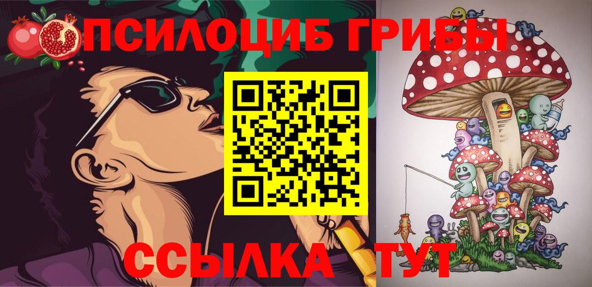 Псилоцибиновые грибы мухоморы Тара