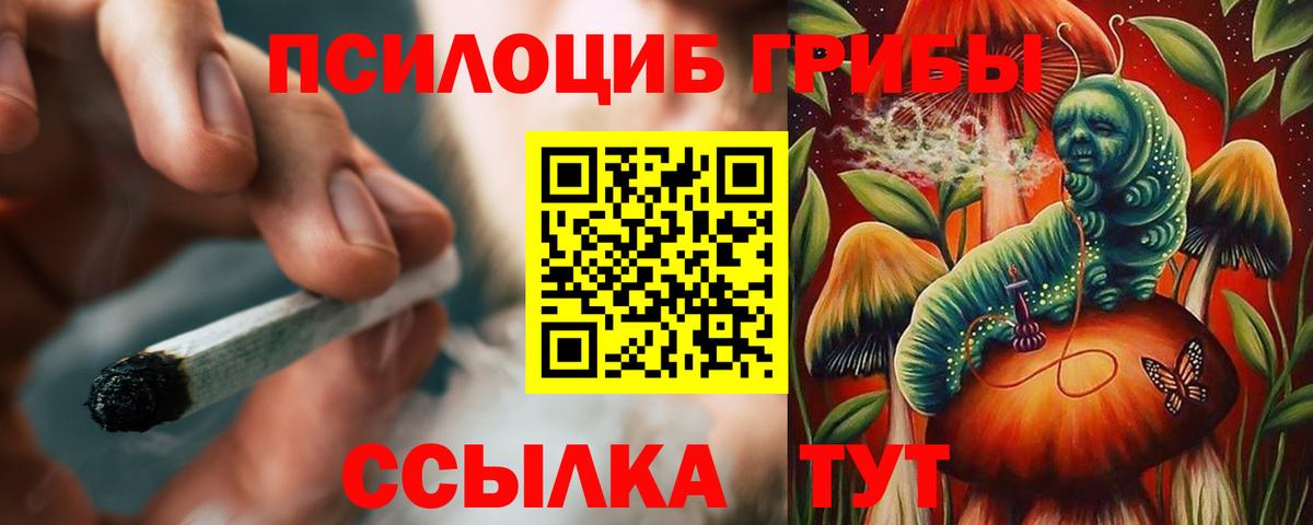 Галлюциногенные грибы мухоморы  что такое   Вход с VPN  Тара  Галлюциногенные грибы Psilocybe 
